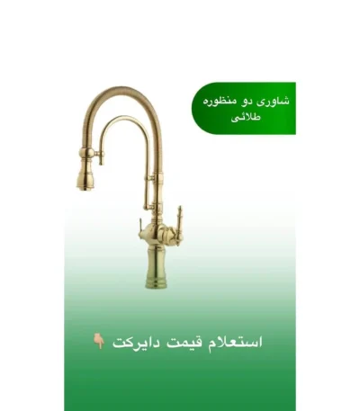 مدل بنجامین طلایی